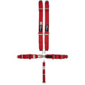 SFI 16.1 CAM-LOCK HARNESS 3' PULL D