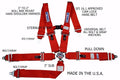 SFI 16.1 CAM-LOCK HARNESS 3' PULL D