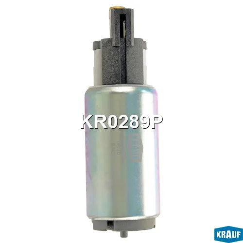 Walbro Fuel Pump/Filter Assembly