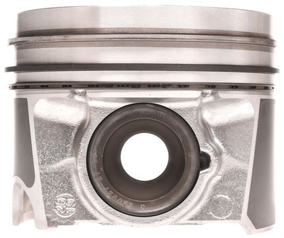 PISTON WITH RINGS