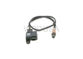 PARTICULATE MATTER P