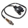 PARTICULATE MATTER P