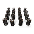 BLOX Racing Valve Springs for F20C/F22C (2.0L-2.2L DOHC VTEC)