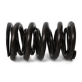 BLOX Racing springs