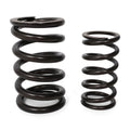 BLOX Racing Valve Springs for F20C/F22C (2.0L-2.2L DOHC VTEC)