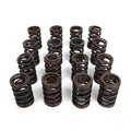 BLOX Racing Dual Valve Springs for K20A2-3 Z1-3 (2.0L DOHC i-VTEC) / K24A-3 (2.4L DOHC i-VTEC)