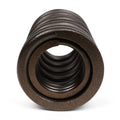 BLOX Racing Dual Valve Springs for K20A2-3 Z1-3 (2.0L DOHC i-VTEC) / K24A-3 (2.4L DOHC i-VTEC)