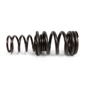 BLOX Racing Dual Valve Springs for K20A2-3 Z1-3 (2.0L DOHC i-VTEC) / K24A-3 (2.4L DOHC i-VTEC)
