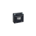 Yuasa YT19BL-BS Maintenance Free AGM 12-Volt Battery w/Bottle