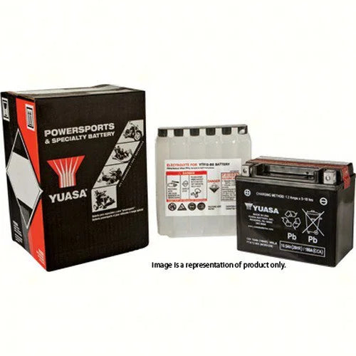 Yuasa YT19BL-BS Maintenance Free AGM 12-Volt Battery w/Bottle