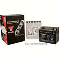 Yuasa YT19BL-BS Maintenance Free AGM 12-Volt Battery w/Bottle