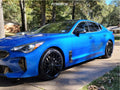 TR91 (3291) GLOSS BLACK 19X8.5 5-10
