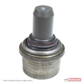 CONTROL ARM W/ BALL