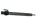 Exergy Leak Rail Asembly