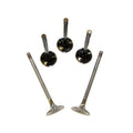 VALVE SET,5V,OVERSIZE