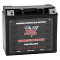 Twin Power GYZ-20HL Premium MAX Battery Replaces H-D 65989-97A Made in USA 320 CCA