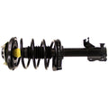 QUICK-STRUT ASSEMBLY