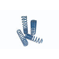 AEV Springs JK (4-dr.) High Capacity Front 4.5 - NTH21155AA