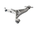 DELPHI control arms