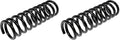 COIL SPRINGS