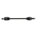 All Balls Racing auto part