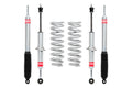 Eibach lift kit detail