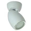 GAI 2, WHITE HSG 5K SPECTRUM RGBW