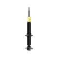 OESPECTRUM PREMIUM STRUT