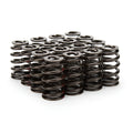 STRAUB TECHNOLOGIES INC. springs