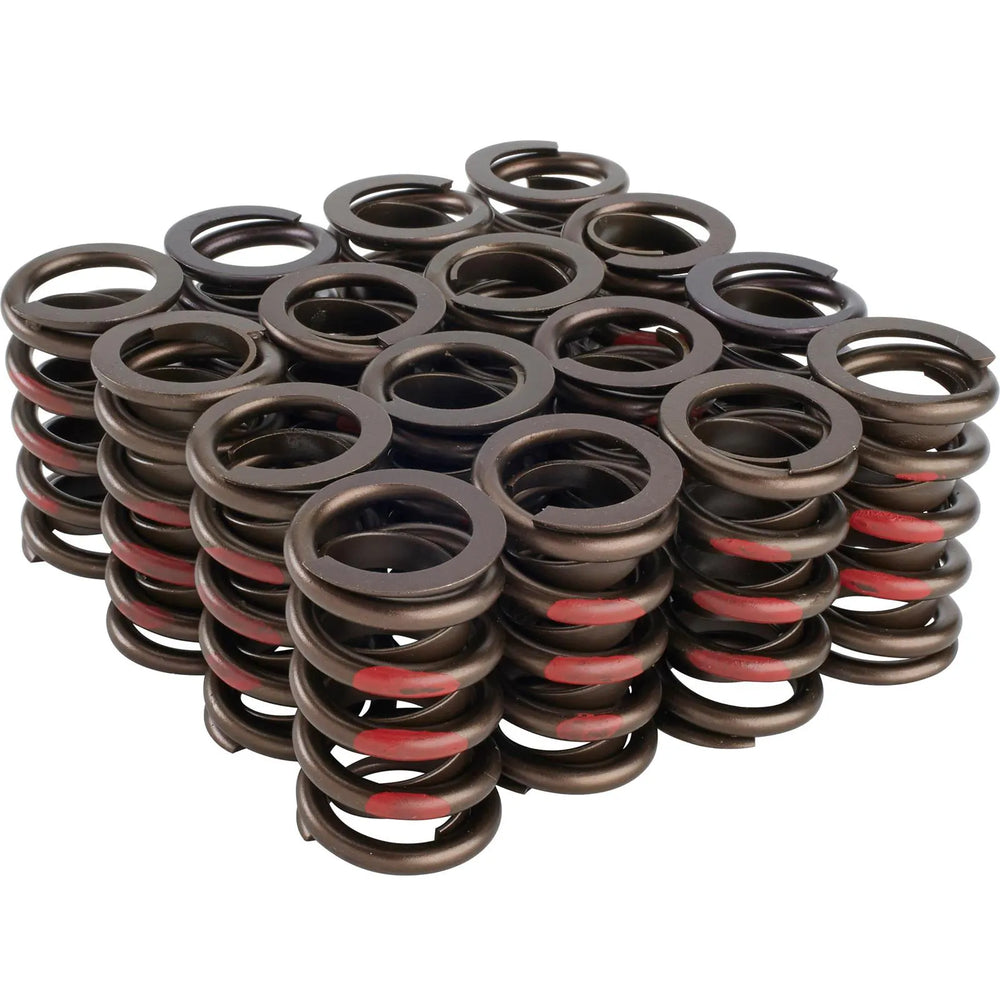 1.269 Dia HP Valve Spring Set