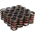 1.269 Dia HP Valve Spring Set