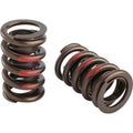 1.269 Dia HP Valve Spring Set