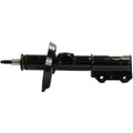 OESPECTRUM STRUT