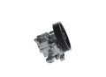 STEERING PUMP MECH