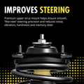QUICK-STRUT ASSEMBLY