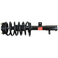OESPECTRUM PREMIUM STRUT