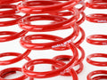 Skunk2 Racing springs