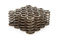 PAC RACING SPRINGS springs
