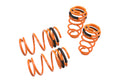 Megan Lowering Springs Scion Xb 08-15