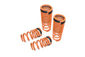 Megan Lowering Springs Nissa GT-R 09-18
