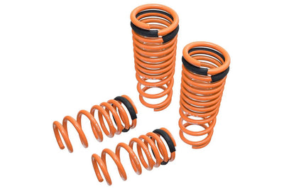 Megan Racing springs