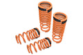 Megan Lowering Springs Nissa GT-R 09-18