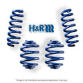 H&R springs