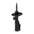 OESPECTRUM PREMIUM STRUT