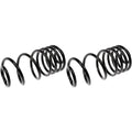 COIL SPRINGS