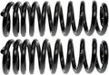 COIL SPRINGS