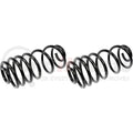 COIL SPRINGS