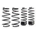 RSR Forged springs detail