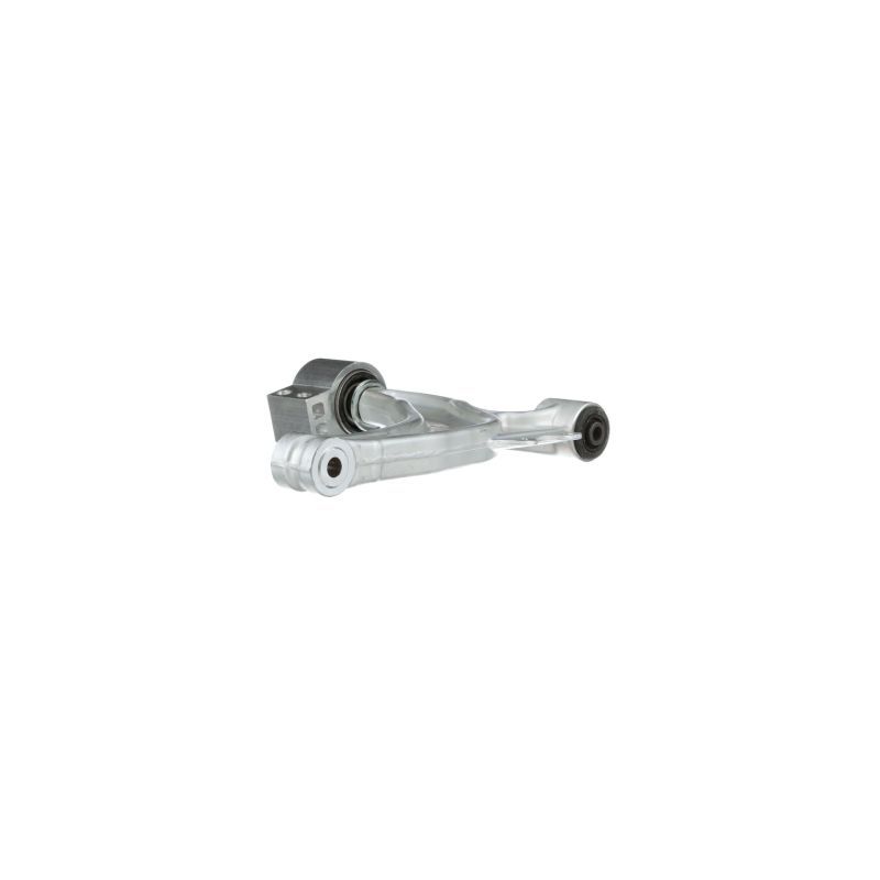 DELPHI control arms