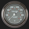 SG SERIES 2IN TRANS TEMP FS